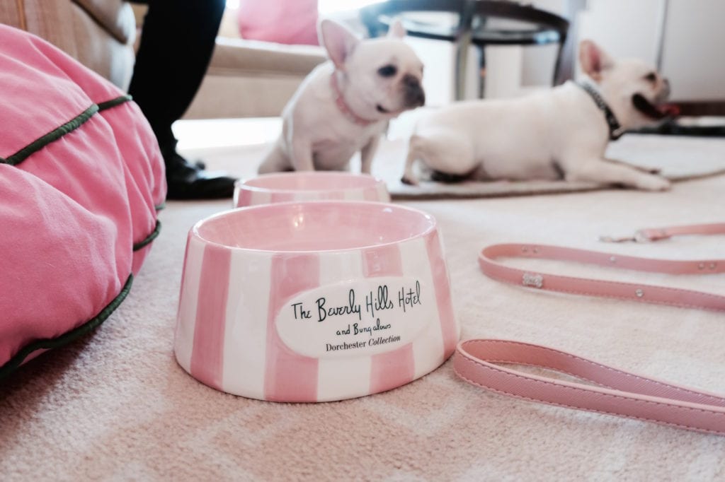 13 luxury pet-friendly hotels around the world - the beverly hills hotel