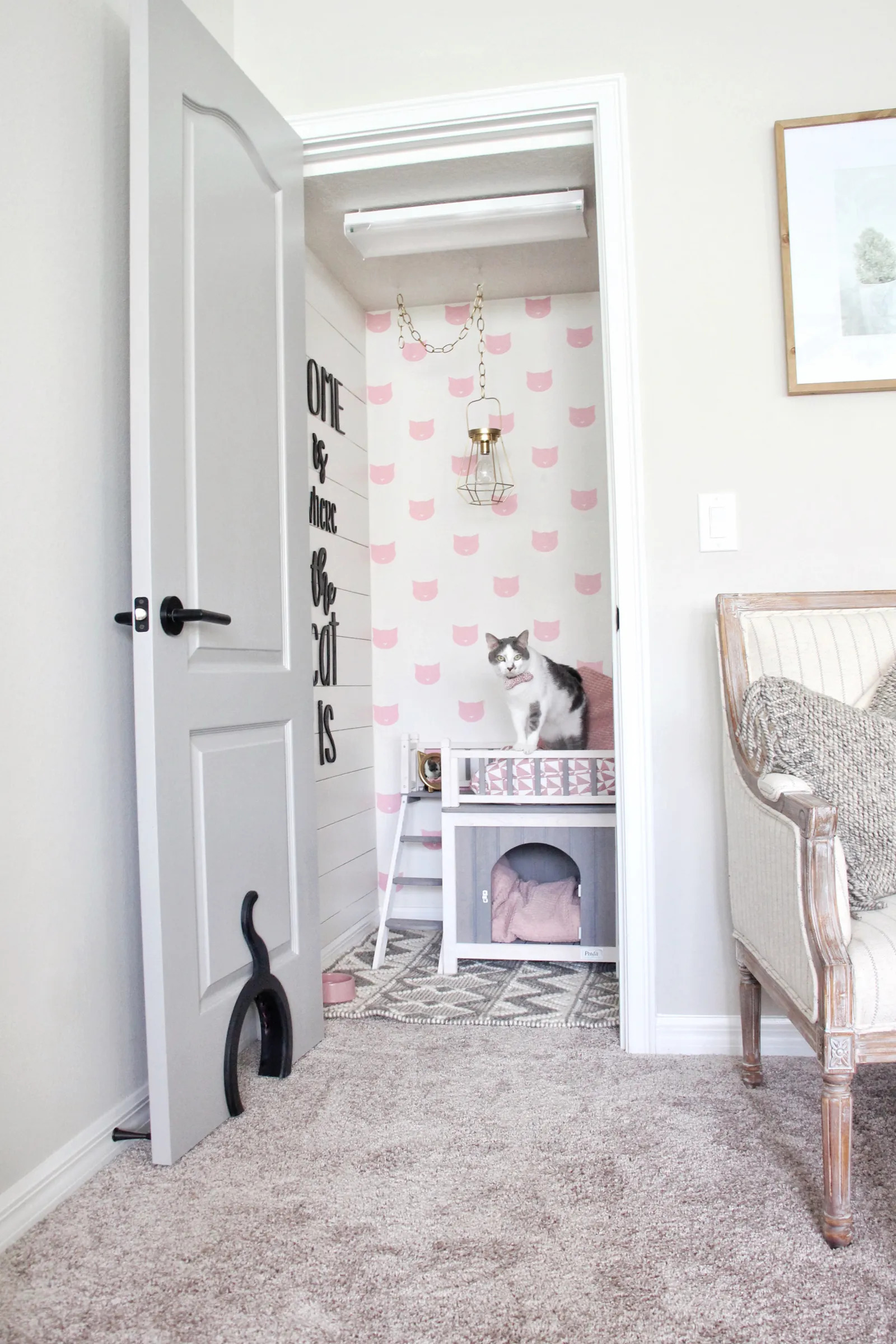 Mini Pet Room: Discover this Unbelievable Interior Design Movement